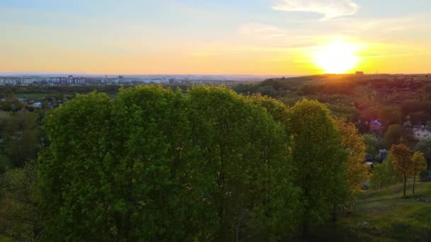 Вид з повітря на ліс зі свіжими зеленими деревами і маленькими сільськими будинками на початку весни на заході сонця — стокове відео