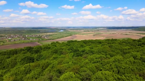 Вид с воздуха на темно-зеленый пышный лес с плотными навесами деревьев летом — стоковое видео