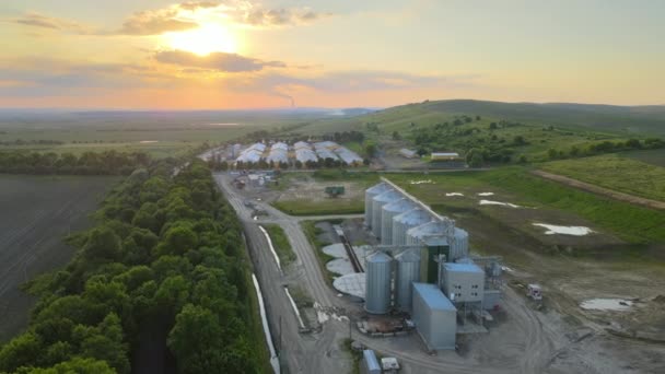 Vue aérienne des silos ventilés industriels pour le stockage à long terme des céréales et des oléagineux. Ascenseur en métal pour le séchage du blé en zone agricole — Video