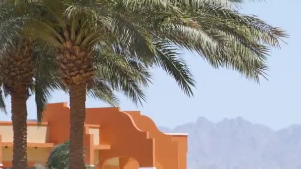 Зеленые кокосовые пальмы, размахивающие ветром на тропическом пляже против голубого неба и зданий гостиничного курорта. Летние каникулы — стоковое видео