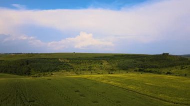 Parlak yaz gününde ekin yetiştiren, ekili tarım arazilerinin havadan manzarası