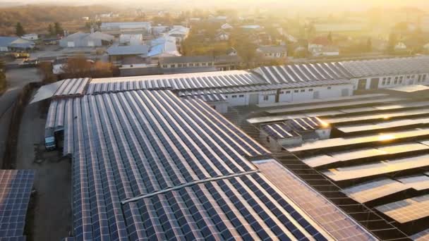 緑の生態系電気を生成するための産業用建物の屋根の上にマウントされている青い太陽光発電パネルの空中ビュー。持続可能なエネルギー概念の生産 — ストック動画