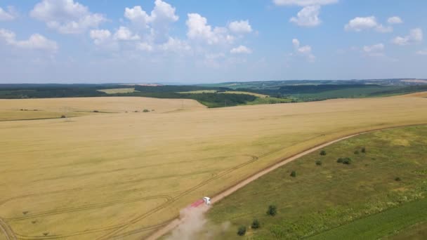 Aerial view of cargo truck driving on dirt road between agricultural wheat fields making lot of dust. Transportation of grain after being harvested by combine harvester during harvesting season — Stockvideo