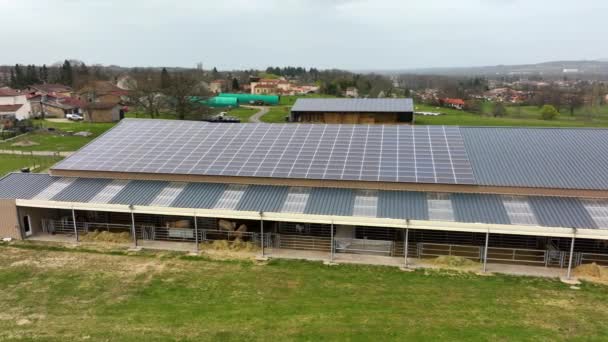 Aerial view of blue photovoltaic solar panels mounted on farm building roof for producing clean ecological electricity. Production of renewable energy concept — Stockvideo