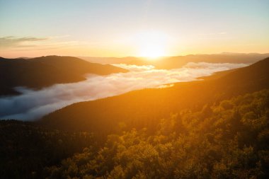 Sonbahar gündoğumunda sisli, karanlık dağ ormanlarının çam ağaçlarının olduğu muhteşem manzaranın havadan görüntüsü. Şafak vakti ışıldayan ışıklarıyla güzel vahşi ormanlık