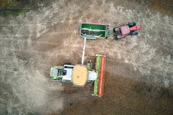 Vue aérienne de la moissonneuse-batteuse déchargeuse de grain dans une remorque de chargement travaillant pendant la saison de récolte sur un grand champ de blé mûr. Agriculture et transport des produits agricoles bruts concept — Photo