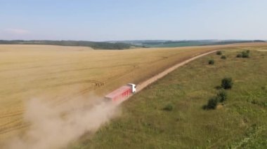 Tarımsal buğday tarlaları arasında toprak yolda giden kamyon görüntüsü. Hasat mevsiminde hasatçıların topladığı tahıl naklinden sonra.
