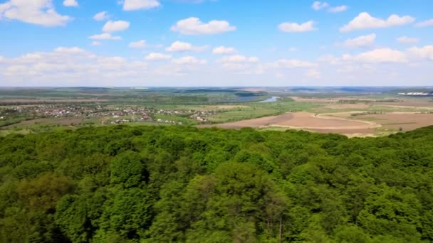 Widok z lotu ptaka ciemnozielony bujny las z gęstych drzew zadaszenia latem — Wideo stockowe