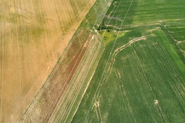 Luftaufnahme von grün und gelb bewirtschafteten landwirtschaftlichen Feldern mit wachsenden Pflanzen an hellen Sommertagen — Stockfoto