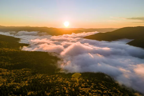 Parlak günbatımında karanlık çam ağaçları üzerinde sisli bir akşamın havadan görüntüsü. Şafakta vahşi dağ ormanlarının inanılmaz manzarası