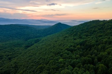 Dağ tepelerini kaplayan koyu ladin ağaçlı yeşil çam ormanlarının havadan görünüşü. Yukarıdan orman manzarası yok