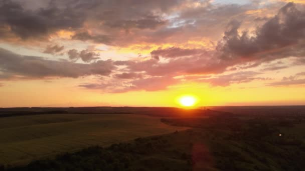 Flygfoto landskap utsikt över gul odlad jordbruksmark med moget vete på pulserande sommarkväll — Stockvideo