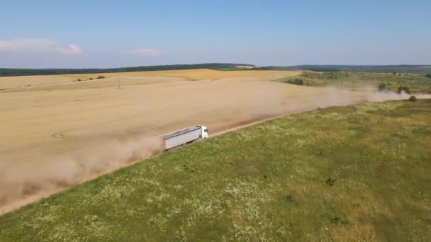 Letecký pohled na nákladní automobil jedoucí po polní cestě mezi zemědělskými pšeničnými poli. Přeprava obilí po sklizni kombinovaným sklízecím zařízením během sklizně — Stock video