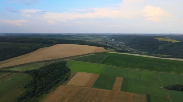 Luftbild von gelb bewirtschafteten landwirtschaftlichen Feldern mit reifem Weizen und grünen Wäldern an einem hellen Sommertag — Stockvideo