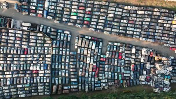 Aerial view of big parking lot of junkyard with rows of discarded broken cars. Recycling of old vehicles — Stock Video