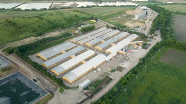 Vista aérea de edificios de granjas ganaderas entre tierras de cultivo verdes — Vídeos de Stock