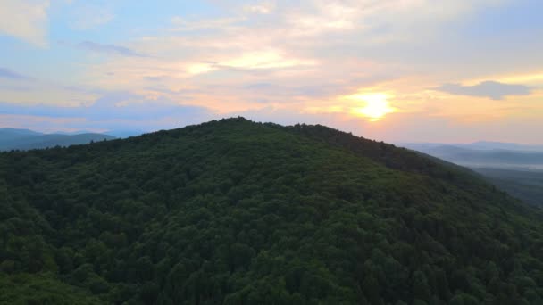 Aerial view of green pine forest with dark spruce trees covering mountain hills at sunset. Nothern woodland scenery from above — Stock Video