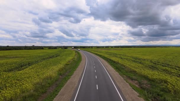 Luchtfoto van de intercity weg tussen groene landbouwvelden met snelrijdende auto 's. Top uitzicht van drone van het verkeer op de snelweg — Stockvideo