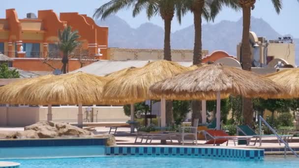 Leere Liegestühle unter Strohschirmen am Schwimmbadrand im tropischen Ferienort. Sommerurlaub und Ausflugskonzept — Stockvideo