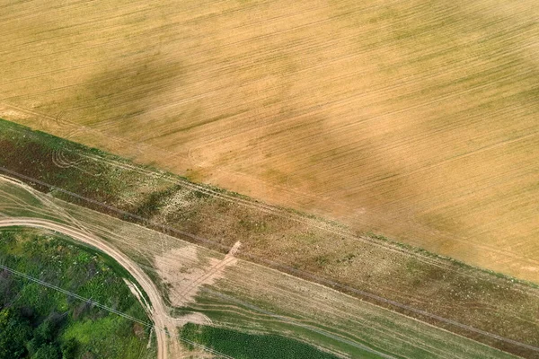 明るい夏の日に熟した小麦と黄色の栽培農業分野の空中風景 — ストック写真