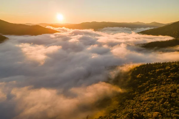 Vista aérea da noite nebulosa sobre árvores de floresta de pinheiros escuros ao pôr do sol brilhante. Paisagem incrível de floresta de montanha selvagem ao entardecer — Fotografia de Stock