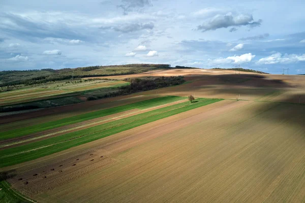 Vue aérienne des champs agricoles labourés avec un sol fertile cultivé préparé pour planter des cultures entre les bois verts au printemps — Photo