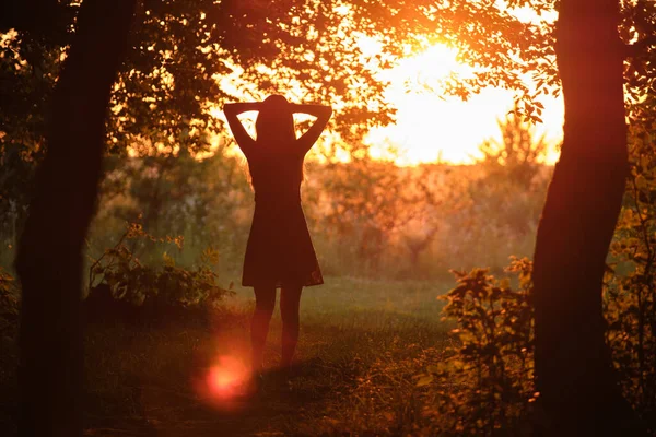 Rear silhouette view of young happy woman standing alone in dark woods with raised up hands enjoying summer evening. Victory and success concept — Stock Photo, Image