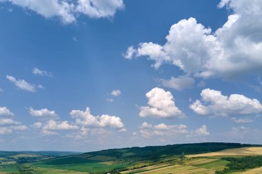 Açık mavi gökyüzünün açık hava manzarası yeşil ekili tarlalar, büyüyen ekinler ve parlak yaz gününde uzak ormanlık alanlar.