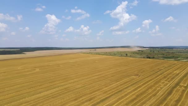 Vista aérea del paisaje del campo agrícola cultivado amarillo con paja seca de trigo cortado después de la cosecha — Vídeos de Stock