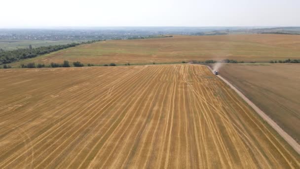 Aerial view of lorry cargo truck driving on dirt road between agricultural wheat fields. Transportation of grain after being harvested by combine harvester during harvesting season — Vídeo de Stock