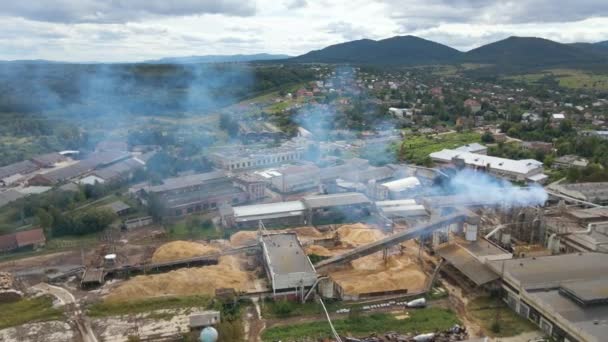 Aerial view of wood processing factory with smoke from production process polluting atmosphere at plant manufacturing yard — Stock Video