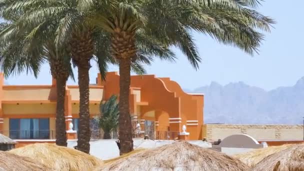 Palmeiras de coco verde acenando no vento na praia tropical contra o céu azul e edifícios de resort hoteleiro. Conceito férias de verão — Vídeo de Stock