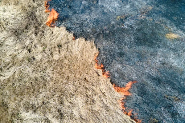 Воздушный обзор пастбищного поля, сжигаемого красным огнем во время сухого сезона. Концепция стихийных бедствий и изменения климата — стоковое фото