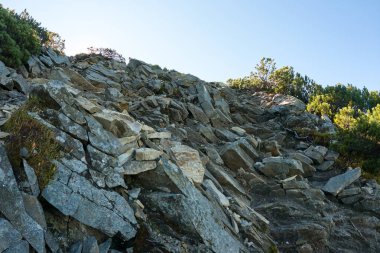 Güneşli bir günde büyük kaya parçalarıyla Rocky Dağı yamacında