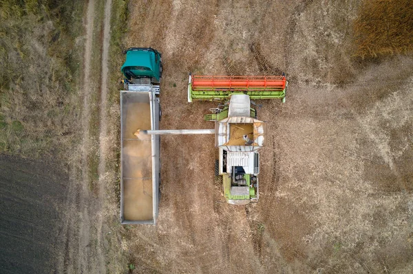 Aerial view of combine harvester unloading grain in cargo trailer working during harvesting season on large ripe wheat field. Agriculture and transportation of raw farm products concept — Stock Photo, Image