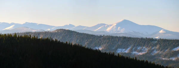 Panoraama vuoristo maisema lumiset korkeat huiput ja metsäinen laakso — kuvapankkivalokuva