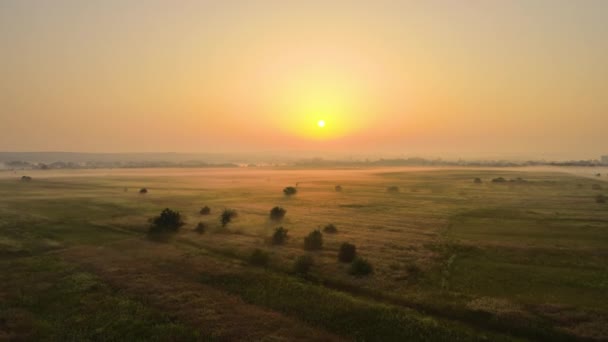 Güneşli sabahın sisli yeşil tarlaların üzerindeki hava manzarası — Stok video