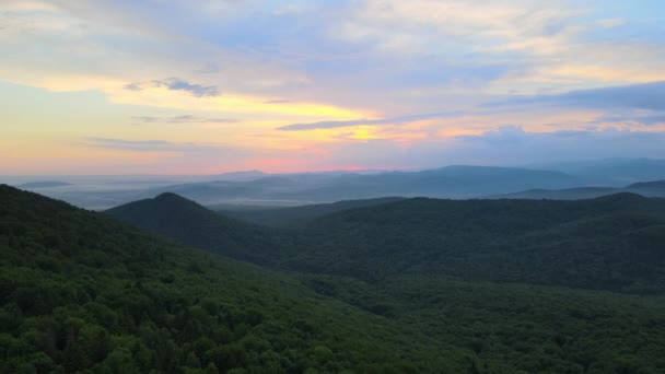 Vista aérea de pinhal verde com árvores de abeto escuro cobrindo colinas de montanha ao pôr do sol. Paisagem de bosques notáveis de cima — Vídeo de Stock