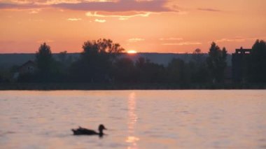 Göl suyunda kırılan park ağaçlarından oluşan karanlık bir siluet ve gün batımında parkın tepesinde yürüyen yayalar ile Lakeside manzarası