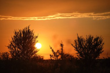 Küçük ağaçlardan ve çalılardan oluşan siyah yapraklar parlak renkli günbatımına karşı güneş ışığıyla aydınlanan canlı bulutlarla aydınlandı.