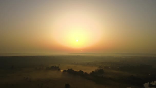 Luftaufnahme des sonnigen Morgens über neblig grünen Feldern — Stockvideo
