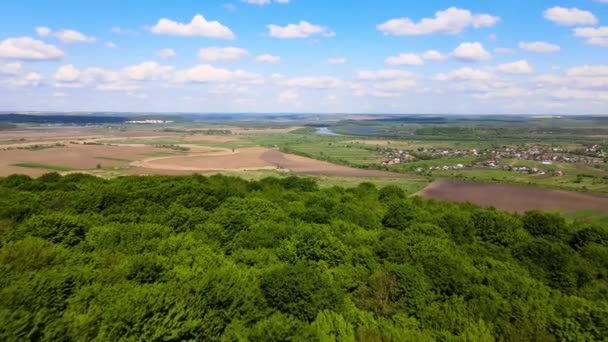 Вид з повітря на темно-зелений пишний ліс з щільними деревами влітку — стокове відео