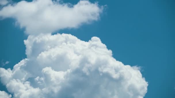 Zeitraffer aus weißen, geschwollenen Kumuluswolken, die sich am sommerblauen Himmel bilden. Bewegendes und sich änderndes Wolkenbild-Wetter — Stockvideo