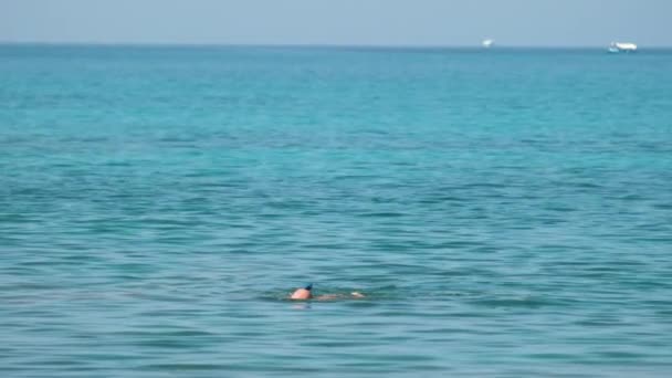 Oigenkännlig man simmar med snorkling andning mask under havsytan — Stockvideo