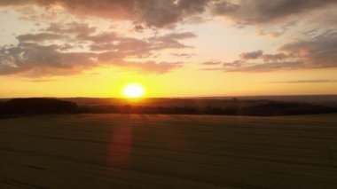 Canlı bir yaz akşamında olgun buğdayla ekili sarı tarım arazisinin havadan manzarası..