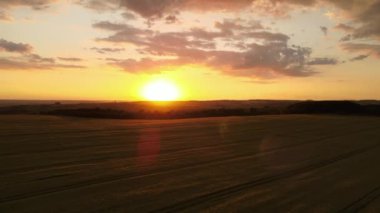 Canlı bir yaz akşamında olgun buğdayla ekili sarı tarım arazisinin havadan manzarası..