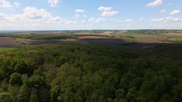 空中俯瞰着茂密树冠的深绿色茂密的森林 — 图库视频影像