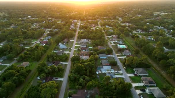 夜のフロリダ静かな住宅街の緑のヤシの木の間の民家と郊外の風景の空中ビュー — ストック動画