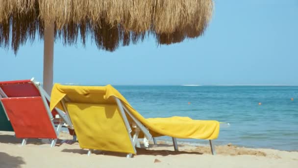 Detalj Halmskugga Paraplyer Havet Tropiska Resort Sommarsemester Och Flyktkoncept — Stockvideo