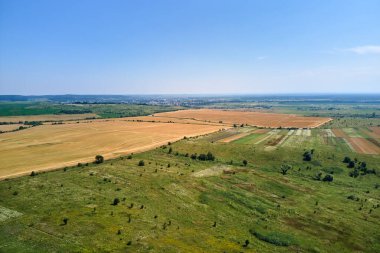 Buğday hasadından sonra kuru samanla ekilmiş sarı tarım arazisinin havadan manzarası.